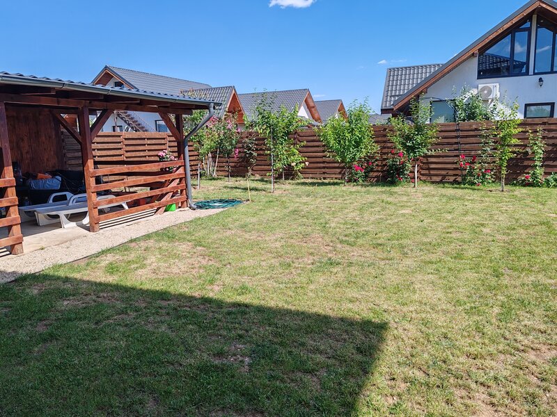 Ilfov Bucuresti - Magurele la 500m de Bucuresti